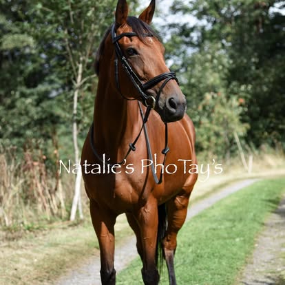 Photography by Natalie's PhoTay's