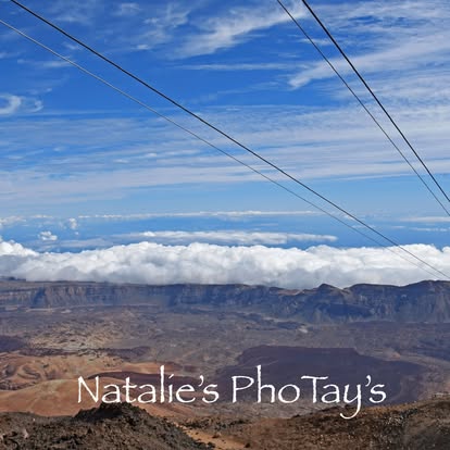 Photography by Natalie's PhoTay's